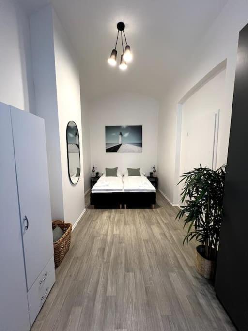 Cozy One Bedroom Close To City Center 4 Apartment